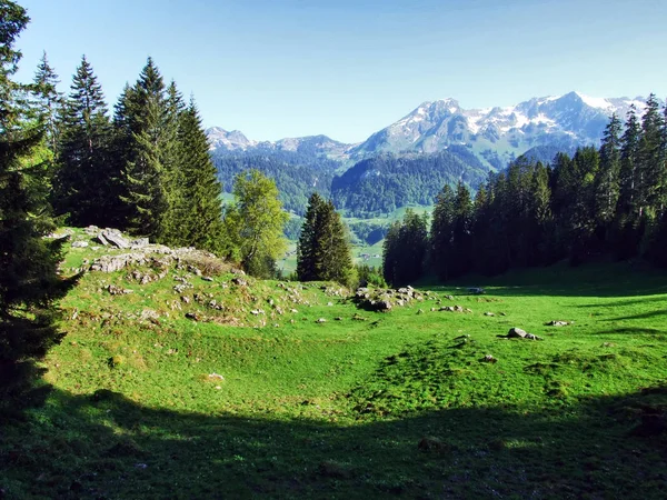 Pastos Alpinos Prados Las Laderas Cordillera Churfirsten Cantón Gallen Suiza — Foto de Stock