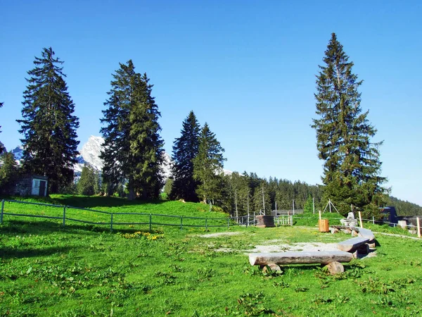 高山の牧草地と Churfirsten ザンクト ガレンのカントン スイス連邦共和国の斜面の牧草地 — ストック写真