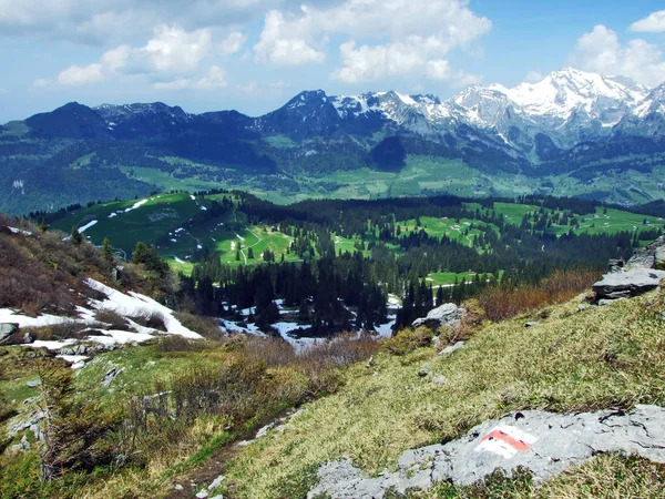 Pastos Alpinos Prados Las Laderas Cordillera Churfirsten Cantón Gallen Suiza —  Fotos de Stock