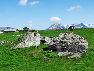 Taşlar ve kayalar Churfirsten dağ silsilesi - Canton St. Gallen, İsviçre