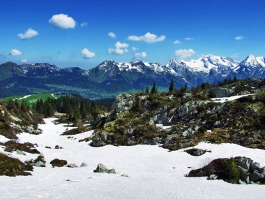 Taşlar ve kayalar Churfirsten dağ silsilesi - Canton St. Gallen, İsviçre