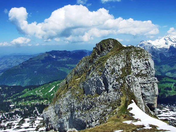 Kameny Skály Pouze Pohoří Kantonu Gallen Švýcarsko — Stock fotografie