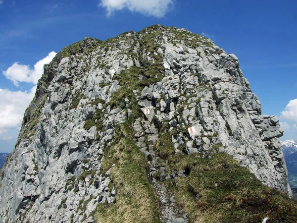 Piedras Rocas Cordillera Churfirsten Cantón Gallen Suiza —  Fotos de Stock