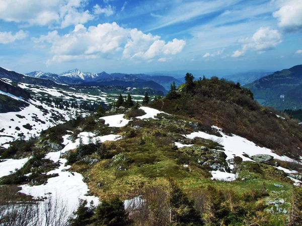 Stenen Rotsen Van Churfirsten Bergketen Kanton Gallen Zwitserland — Stockfoto