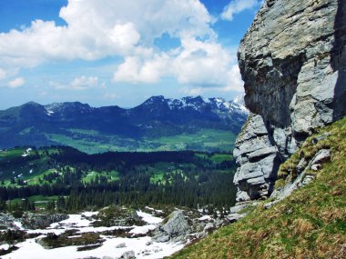Taşlar ve kayalar Churfirsten dağ silsilesi - Canton St. Gallen, İsviçre