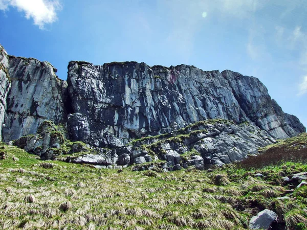 Piedras Rocas Cordillera Churfirsten Cantón Gallen Suiza —  Fotos de Stock