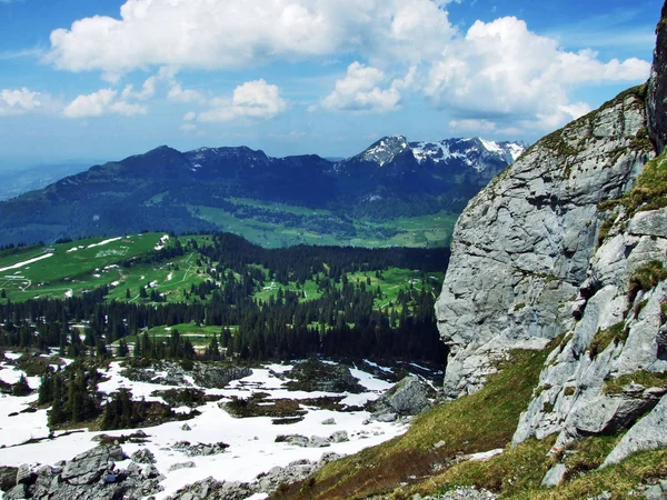 Piedras Rocas Cordillera Churfirsten Cantón Gallen Suiza —  Fotos de Stock