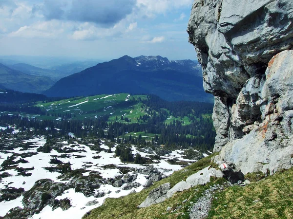 Piedras Rocas Cordillera Churfirsten Cantón Gallen Suiza — Foto de Stock