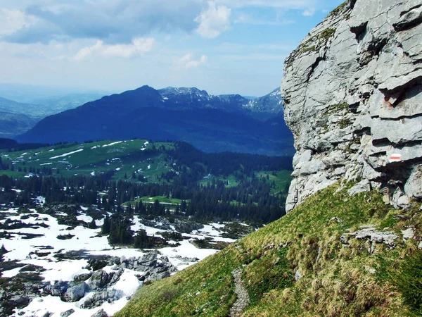 Piedras Rocas Cordillera Churfirsten Cantón Gallen Suiza — Foto de Stock