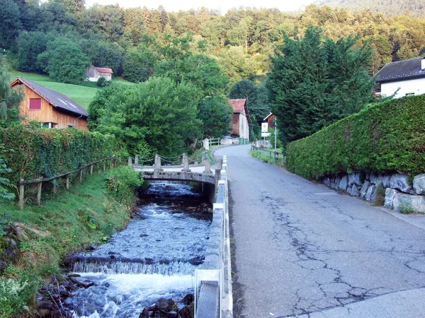 Stream Mlbach Assentamento Oberschan Cantão Gallen Suíça — Fotografia de Stock