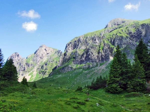 Góry Alvier Prealpy Szwajcarskie Pasmo Górskie Kantonu Gallen Szwajcaria — Zdjęcie stockowe