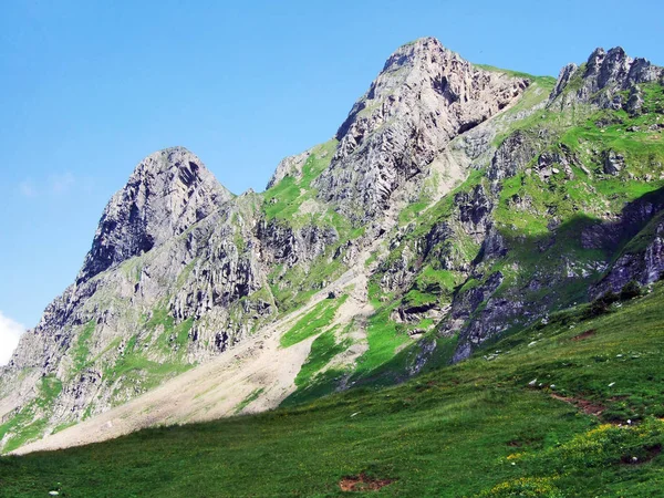 Mountain Alvier Appenzell Alperna Bergskedja Kantonen Sankt Gallen Schweiz — Stockfoto