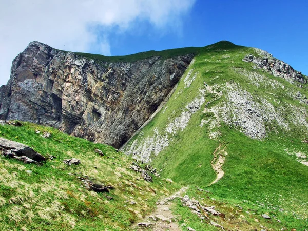 Mountain Alvier Cordilheira Dos Alpes Appenzell Cantão Gallen Suíça — Fotografia de Stock