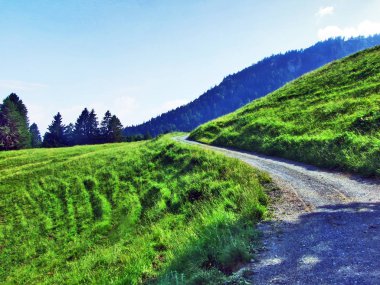Alpine mera ve çayırlar Appenzell Alp dağ silsilesi - St. Gallen kantonu, İsviçre Alvier tepe eteklerinde