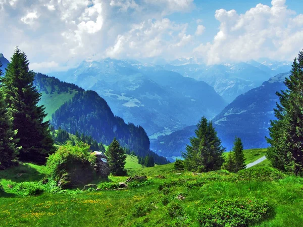 Massa Montanhosa Dos Alpes Glarus Acima Lago Walensee Cantão Glarus — Fotografia de Stock