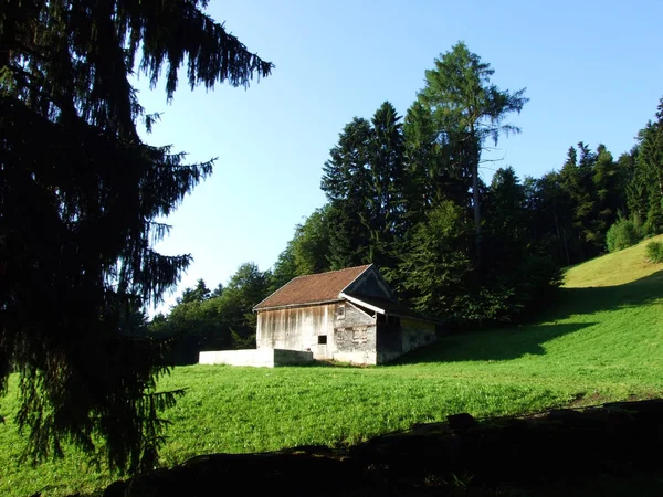 Alpine Veehouderijen Stallen Hellingen Van Alvier Berg Appenzeller Alpen Bergketen — Stockfoto