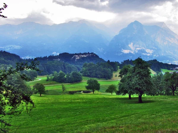 Bomen Gemengde Bossen Hellingen Tussen Alvier Berg Zwitserse Dal Canton — Stockfoto