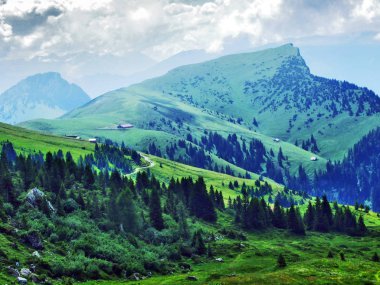 Ağaçlar ve Alvier dağ arasındaki Seeztal Vadisi - Canton St. Gallen, İsviçre yamaçlarında herdem yeşil ormanlar