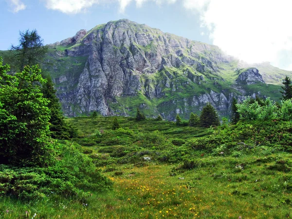 Gauschla Topp Appenzell Alperna Bergskedja Kantonen Sankt Gallen Schweiz — Stockfoto