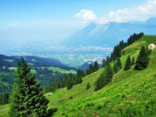 Pohled Říční Údolí Rýna Rheintal Alvier Hory Kantonu Gallen Švýcarsko — Stock fotografie