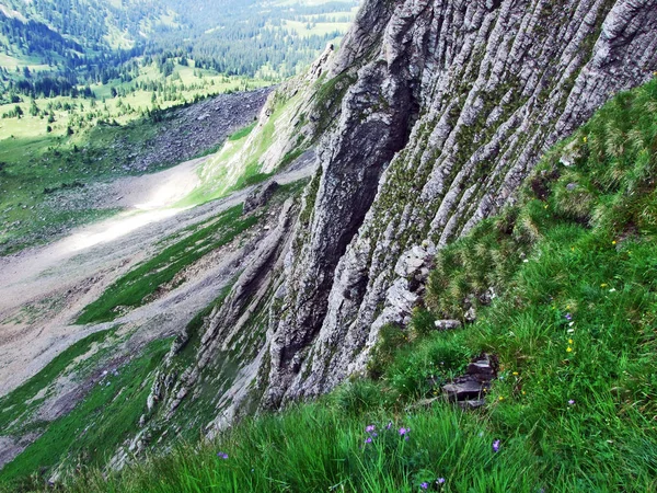 Pedras Rochas Montanha Alvier Cantão Gallen Suíça — Fotografia de Stock