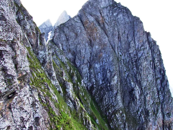 Kövek Sziklák Alvier Mountain Gallen Kanton Svájc — Stock Fotó