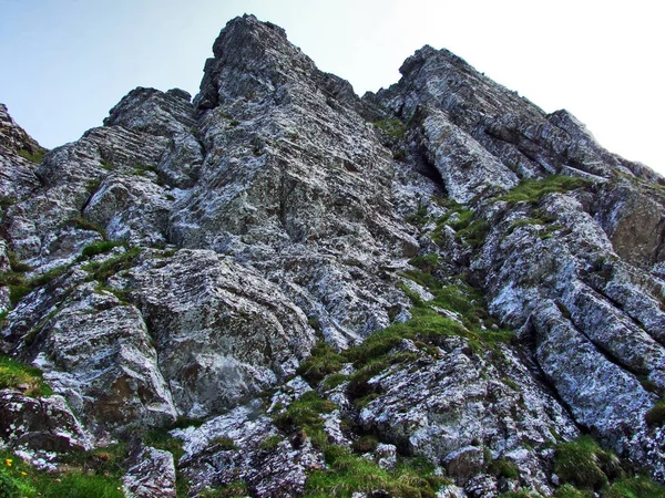 Pedras Rochas Montanha Alvier Cantão Gallen Suíça — Fotografia de Stock