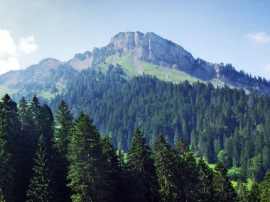 Verschmutchopf tepe Appenzell Alp dağ silsilesi - St. Gallen kantonu, İsviçre
