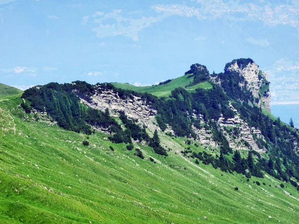 阿彭策尔阿尔卑斯山山脉的维施穆特肖夫峰 瑞士圣加仑州 — 图库照片