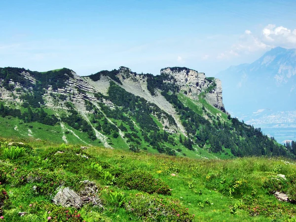 Pico Verschmutchopf Cordillera Los Alpes Appenzell Cantón Gallen Suiza — Foto de Stock