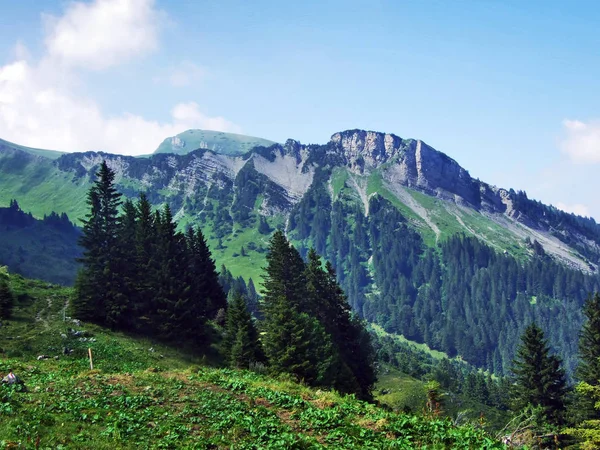 Verschmutchopf Piek Appenzeller Alpen Bergketen Kanton Gallen Zwitserland — Stockfoto