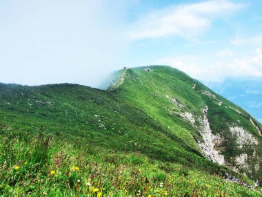 Schaneralp Bölgesi'nde ve Alvier dağ - Canton St. Gallen, İsviçre'nin yamaçlarında mevsimsel dağ mera