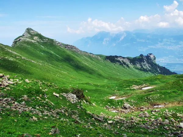 Sezonowe Górskie Pastwiska Terenie Schaneralp Zboczach Góry Alvier Kantonu Gallen — Zdjęcie stockowe