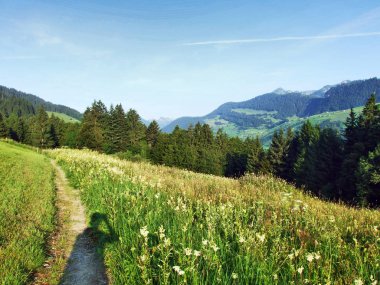 Alpine mera ve çayırlar Churfirsten dağ silsilesi Toggenburg bölgesi - Canton St. Gallen, İsviçre eteklerinde