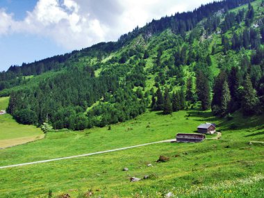Alpine mera ve çayırlar Churfirsten dağ silsilesi Toggenburg bölgesi - Canton St. Gallen, İsviçre eteklerinde
