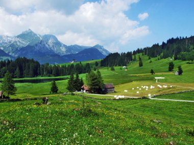 Alpine mera ve çayırlar Churfirsten dağ silsilesi Toggenburg bölgesi - Canton St. Gallen, İsviçre eteklerinde