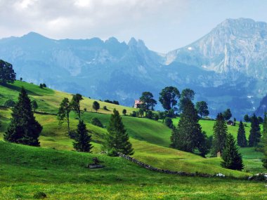 Alpine mera ve çayırlar Churfirsten dağ silsilesi Toggenburg bölgesi - Canton St. Gallen, İsviçre eteklerinde
