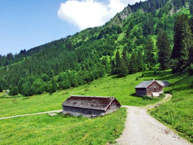 Alp hayvancılık çiftlik ve ahır Churfirsten dağ silsilesi Toggenburg bölgesi - Canton St. Gallen, İsviçre eteklerinde