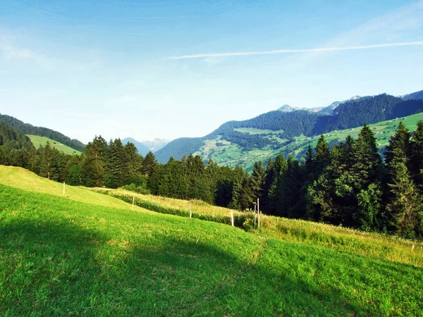 Альпійські Пасовища Луки Схилах Гірського Хребта Churfirsten Toggenburg Області Кантону — стокове фото