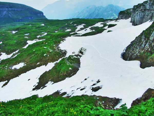 Alpages Prairies Alpines Sur Les Pentes Chaîne Montagnes Churfirsten Dans — Photo