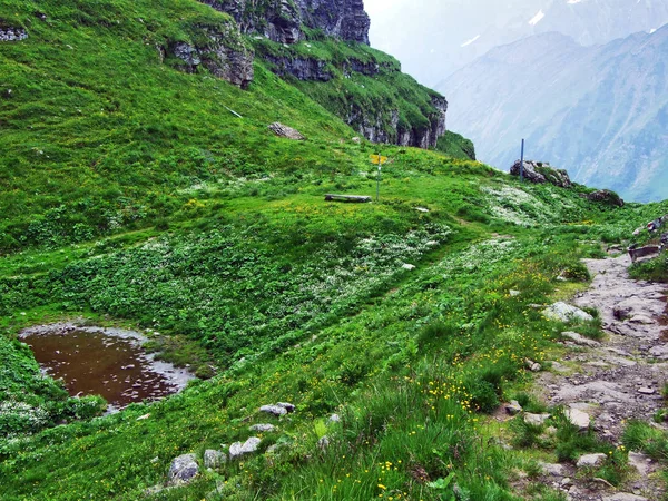 Alpejskie Pastwiska Łąki Zboczach Pasmo Górskie Churfirsten Toggenburg Regionu Kantonu — Zdjęcie stockowe