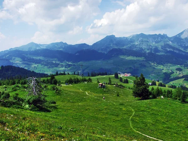 Alpenweiden Weiden Hellingen Van Bergketen Van Churfirsten Het Toggenburg Regio — Stockfoto