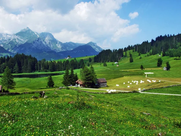 Alpenweiden Weiden Hellingen Van Bergketen Van Churfirsten Het Toggenburg Regio — Stockfoto