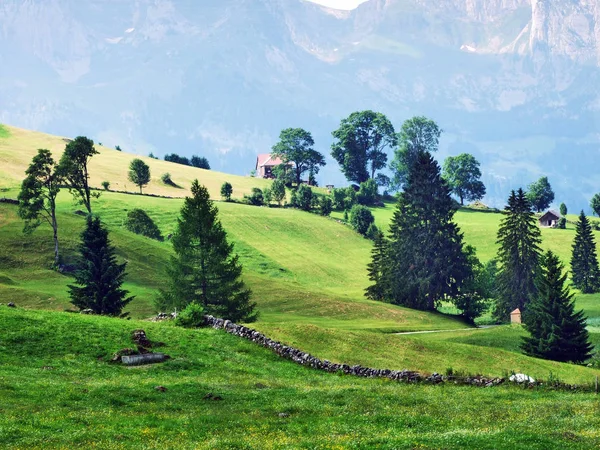 托根堡地区 Churfirsten 山脉山坡上的高山牧场和草地 瑞士圣加仑州 — 图库照片