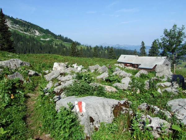 高山畜産農家および馬小屋として地域 ザンクト ガレンのカントン スイス連邦共和国の Churfirsten 山脈の斜面に — ストック写真