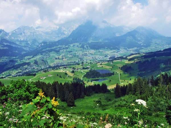 Údolí Řeky Thur Oblasti Toggenburg Kantonu Gallen Švýcarsko — Stock fotografie
