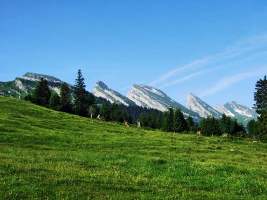 Dağ nehir vadileri Thurtal ve Seeztal - Canton St. Gallen, İsviçre arasında büyük Churfirsten