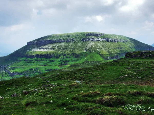 Alpin Topp Gamserrugg Bergskedjan Churfirsten Mellan Toggenburg Regionen Och Sjön — Stockfoto