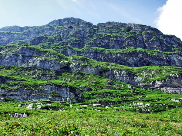 Alpesi Csúcs Chserrugg Churfirsten Toggenburg Régió Között Walensee Gallen Kanton — Stock Fotó