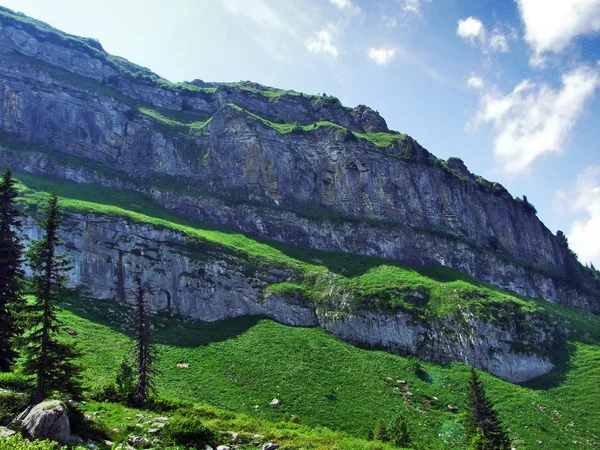 Альпійським Піком Chserrugg Churfirsten Гірський Хребет Між Toggenburg Регіону Озеро — стокове фото
